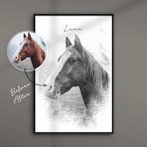 Horse portrait from photo as art print | pencil drawing | personalized gift | animal drawing | ArtGraphit No. 1 | black/white