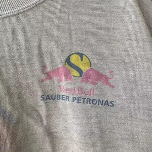 Vintage 1998 Red Bull Sauber Petronas Jean Alesi F1 Racing Sweatshirt, Size L image 4