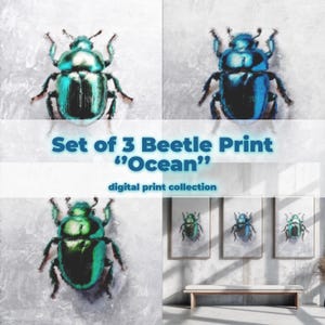 Beetle Prints Set of 3: Modern Ocean Colors (Digital Download)