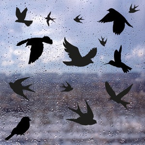 Op de afbeelding: Silhouetten van vogels in de vlucht tegen een wazige achtergrond van regendruppels op een raam. De vogels zijn allemaal zwart en lijken in verschillende richtingen te vliegen.