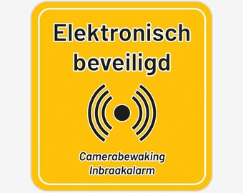 Sticker elektronisch beveiligd camerabewaking / inbraakalarm