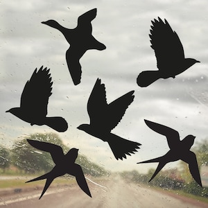 Op de afbeelding: Silhouetten van zes vogels in vlucht tegen een bewolkte lucht. De vogels zijn allemaal zwart en bevinden zich in verschillende posities. De achtergrond is een wazig beeld van een weg en bomen.