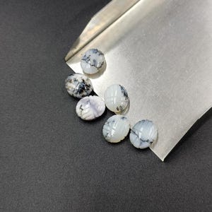 Può includere: Sei perline di pietre preziose scolpite con base bianca e venature nere e grigie. Le perline sono di forma ovale con un design a coste e sono esposte su un vassoio d'argento su sfondo grigio scuro.