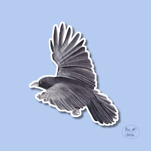 Watercolor Raven Sticker: Flying Black Crow, Laptop Decal
