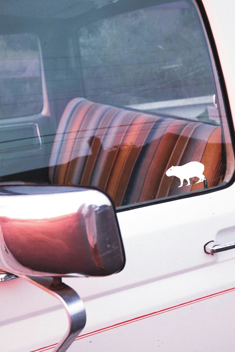Capybara Window Car Decal for Women, Mirror Sticker, Laptop, Water ...