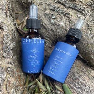 Sana / MicroDose / Funghi adattogeni e Bacopa  / dual extract tincture / 30 ml