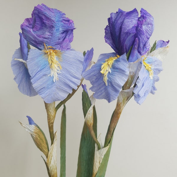 Iris, fleur en papier cadeau durable décoration d'intérieur