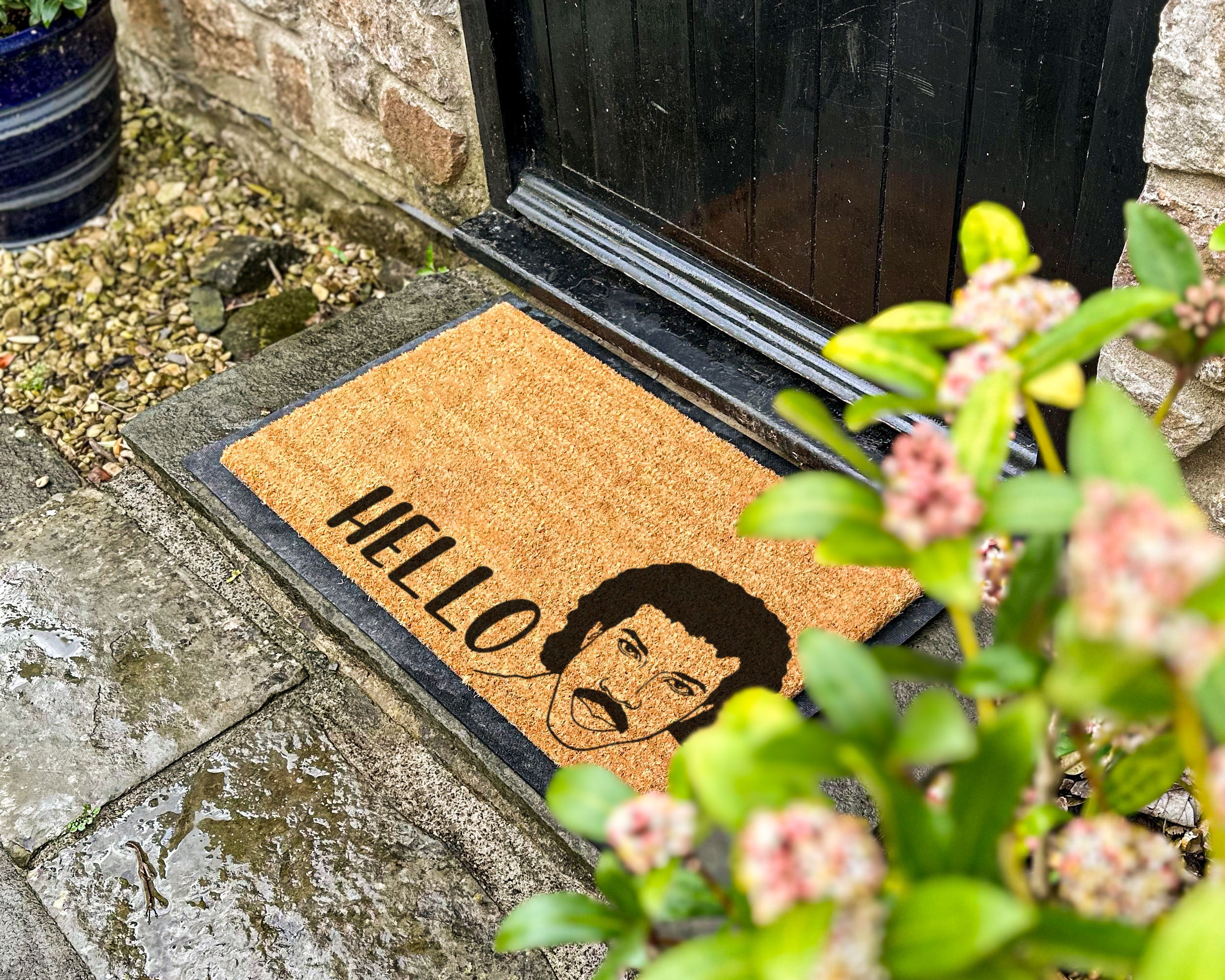 Discover Lionel Richie Hello Doormat | Doormat Funny