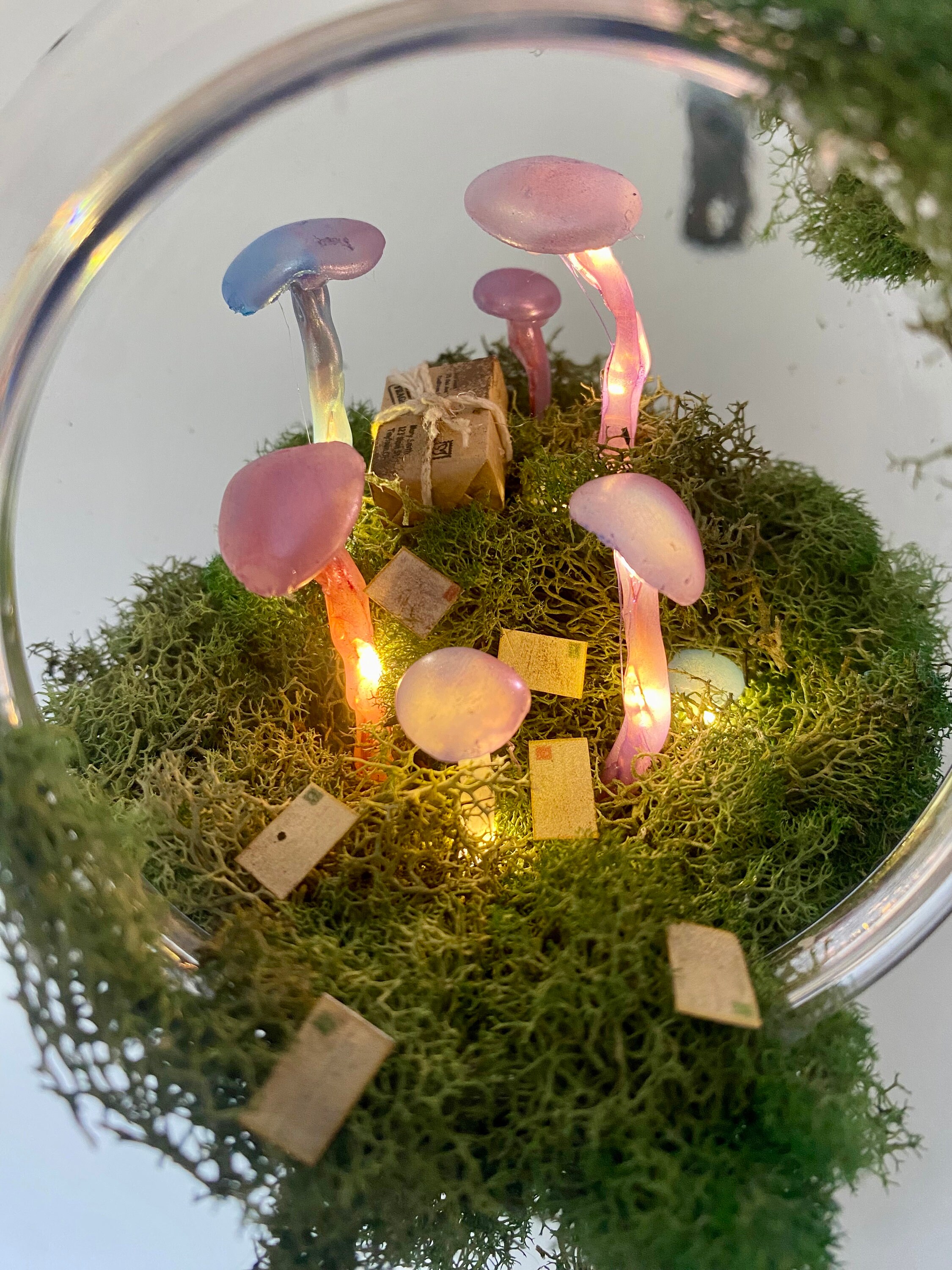 Magical Mushroom Terrarium Etsy
