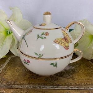 Vintage Skye McGhie Conservatory Teapot For One with butterflies and dragonflies