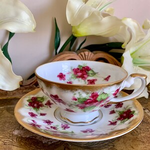 Shafford Japan  Hand Painted Bone China Teacup and Saucer
