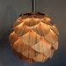 Nature pinecone