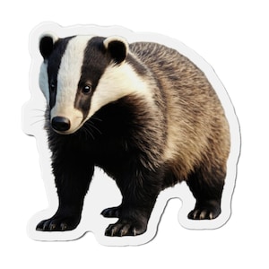 Badger Magnet, Cute Animal Fridge Decor, Forest Creature Kitchen Decoration, Woodland Theme Locker Magnet, Wildlife Lover Gift, Small