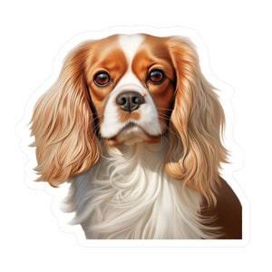 Adesivo Cavalier King Charles Spaniel / Decalcomania per cani in vinile / Decalcomania per auto per animali domestici / Adesivo Cavie