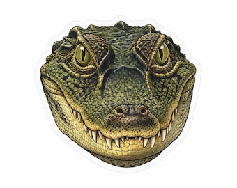 Caiman Sticker - Waterproof Vinyl Decal for Laptop, Water Bottle, Car, Phone, Luggage, Window