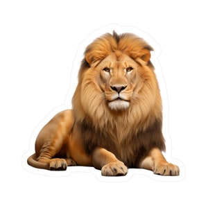 Lion Sticker - Vinyl Animal Decals