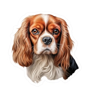 Adesivo Cavalier King Charles Spaniel - Decalcomanie per cani in vinile