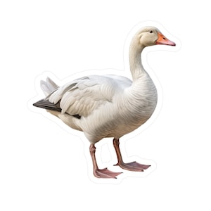 Goose Sticker - Vinyl Goose Decal - Goose car decal - Goose laptop sticker - Goose window decal