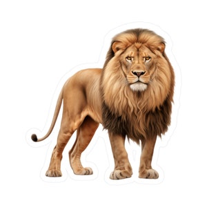 Lion Sticker - Vinyl Animal Decals - Lion Laptop Sticker - Lion Car Decal - Lion Window Decal - Lion Computer Sticker