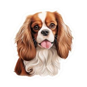 Adesivo Cavalier King Charles Spaniel - Decalcomanie per cani in vinile