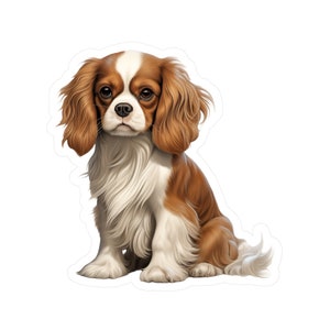 Adesivo Cavalier King Charles Spaniel - Decalcomanie per cani in vinile