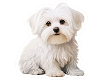 Adesivo Cane Maltese 45 Cm | Sticker In PVC Per Auto, Moto, Laptop | Resistente E Facile Da Applicare - 6