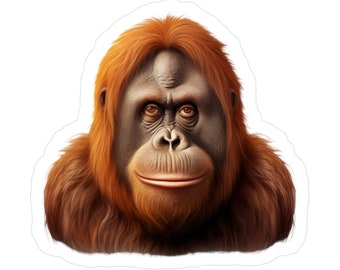Orangutan Sticker | Monkey Vinyl Decal | Car Decal | Laptop Sticker | Window Decal