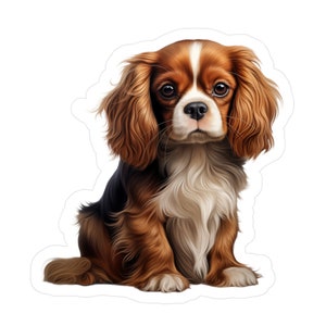 Adesivo Cavalier King Charles Spaniel - Decalcomanie per cani in vinile
