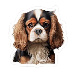 Cavalier King Charles Spaniel Sticker - Vinyl Dog Decals