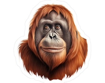 Orangutan Sticker | Monkey Vinyl Decal | Car Decal | Laptop Sticker | Window Decal