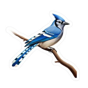 Blue Jay Sticker | Bird Vinyl Decal | Bird Car Decal | Blue Jay Laptop Sticker | Blue Jay Window Decal
