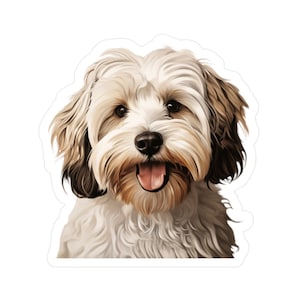 May include: A close-up of a fluffy white and brown dog with a happy expression. The dog has a long, shaggy coat and a cute, playful look.