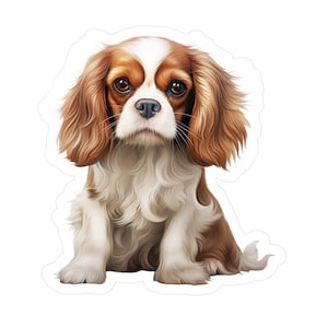 Cavalier King Charles Spaniel Sticker - Vinyl Dog Decals
