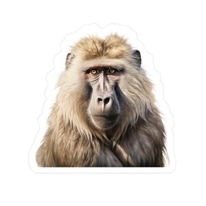 Baboon Sticker | Monkey Vinyl Decal | Animal Car Decal | Laptop Sticker ...