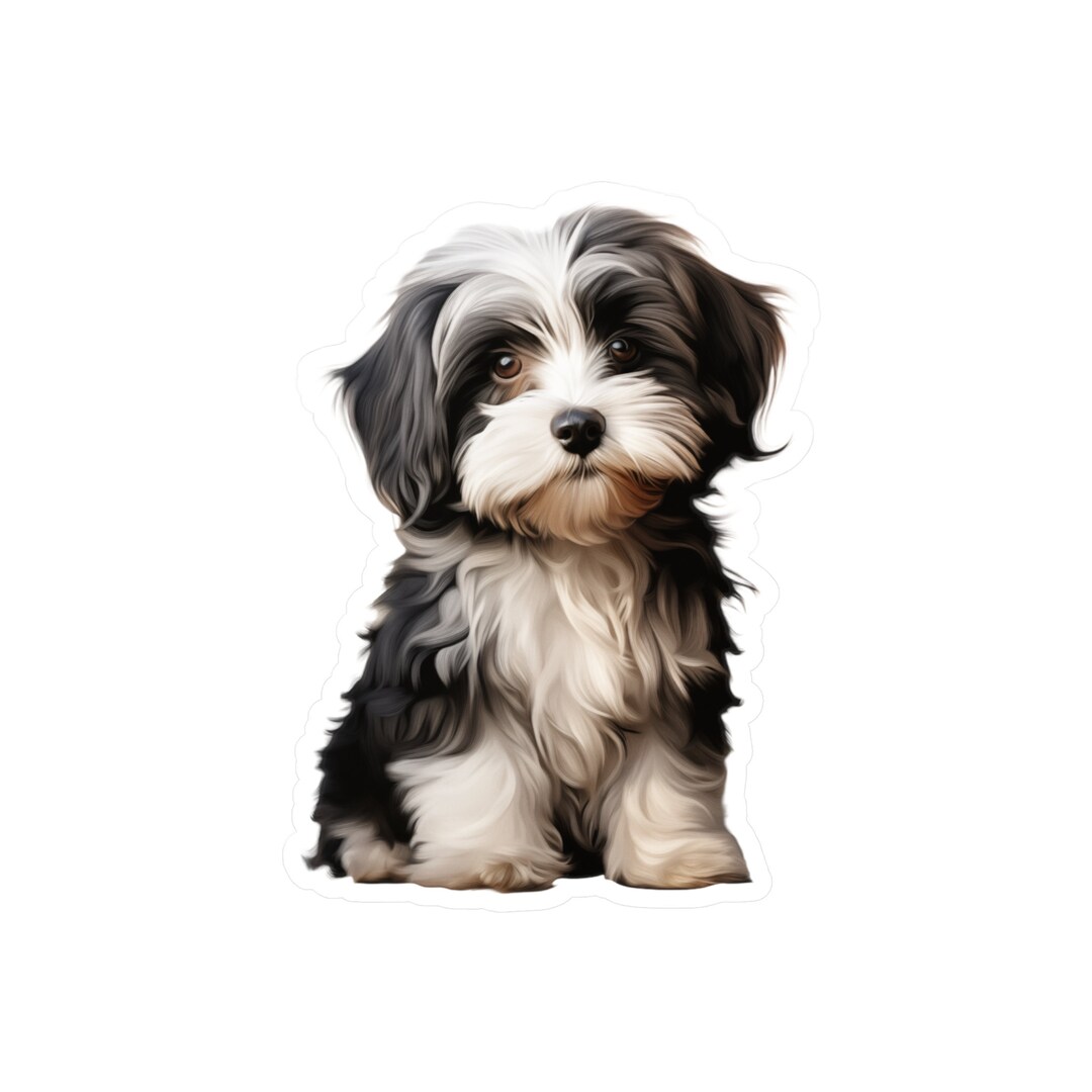 Havapoo Sticker Havanese Sticker - Vinyl Dog Decals - Etsy UK