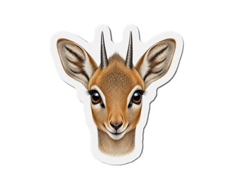 Dik-dik Magnet - Antelope Lover Gift - Fridge Magnet