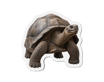 Galapagos Tortoise Magnet - Tortoise Lover Gift - Fridge Magnet