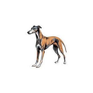 Adesivo levriero - Decalcomanie per cani in vinile con taglio a bacio