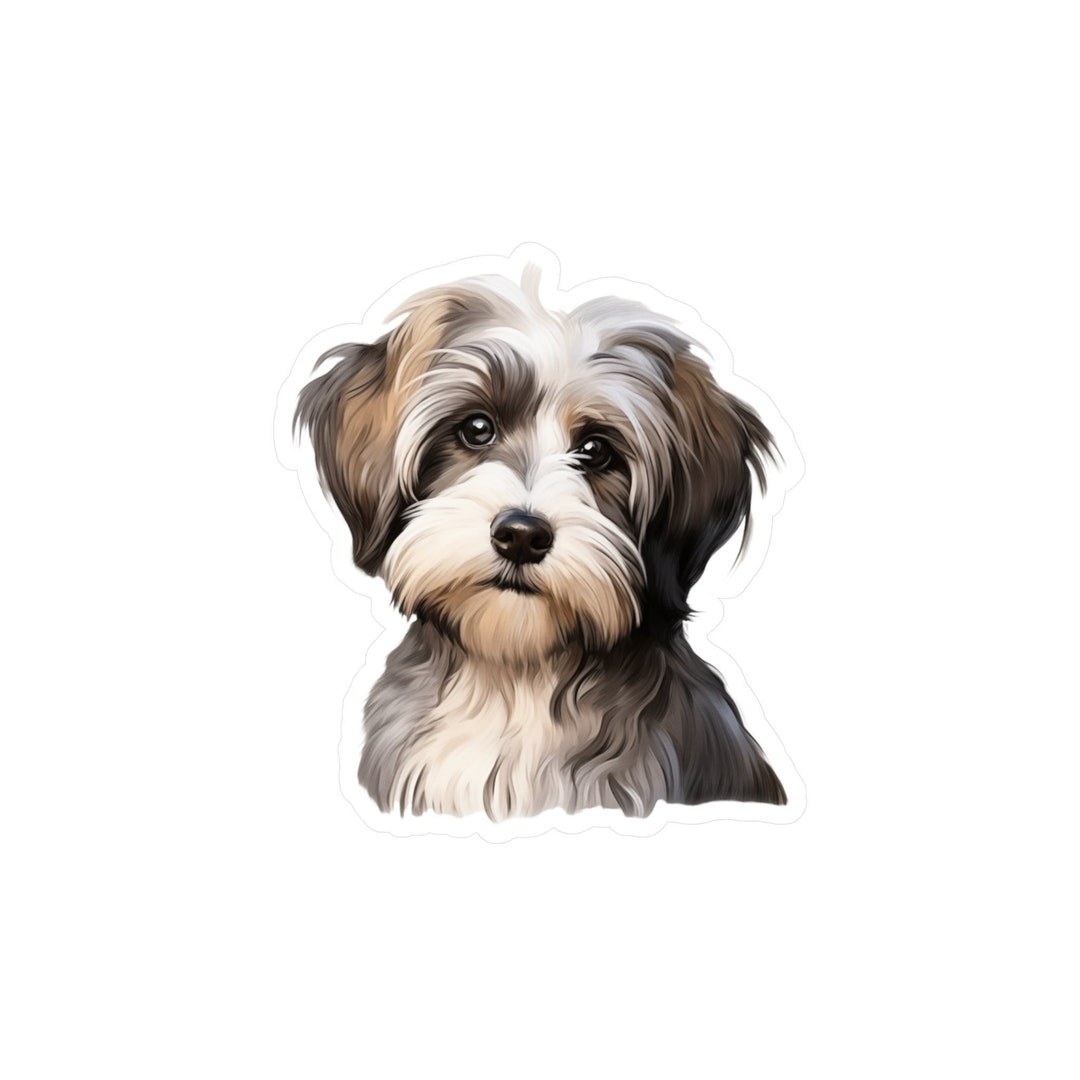Havapoo Sticker Havanese Sticker - Vinyl Dog Decals - Etsy