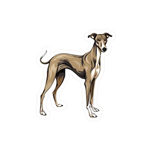 Adesivo levriero - Decalcomanie per cani in vinile con taglio a bacio - Adesivi per laptop - Decalcomanie per auto