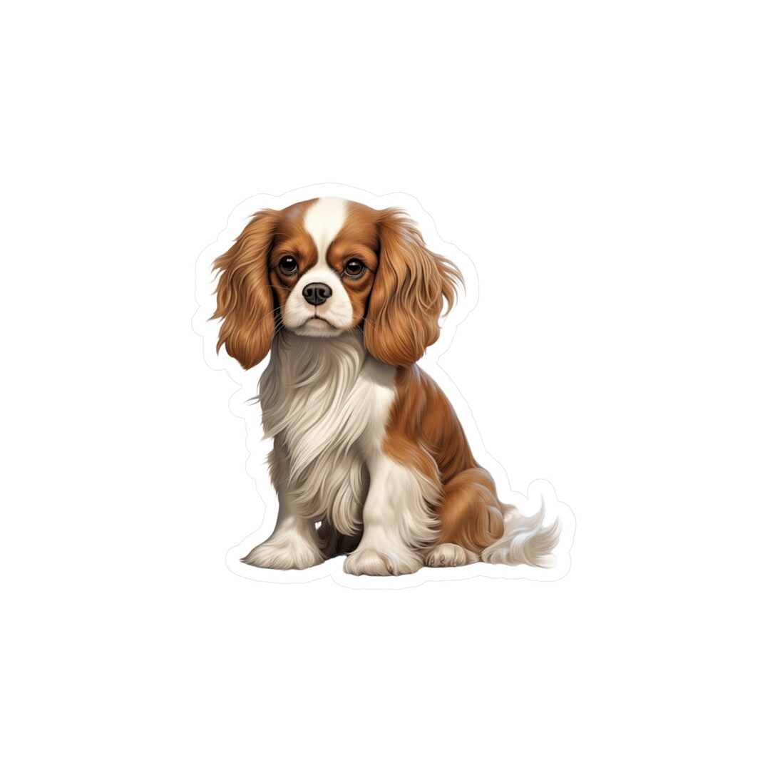 Cavalier King Charles Spaniel Sticker - Vinyl Dog Decals - Etsy