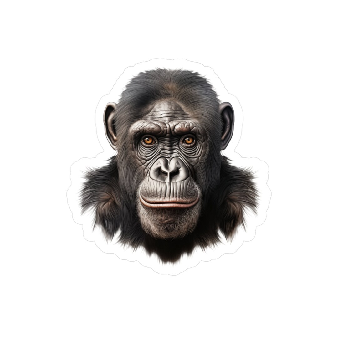 Ape Sticker | Monkey Vinyl Decal | Animal Car Decal | Laptop Sticker ...