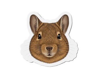 Degu Magnet - Degu Lover Gift - Fridge Magnet
