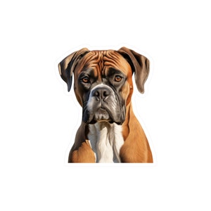 Boxer Aufkleber | Hunde Aufkleber | Haustier-Auto-Aufkleber | Fensterbild | Kiss-Cut Vinyl