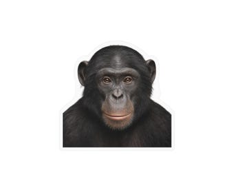 Bonobo Sticker - Waterproof Vinyl Decal for Laptop, Water Bottle, Car, Phone, Luggage, Window