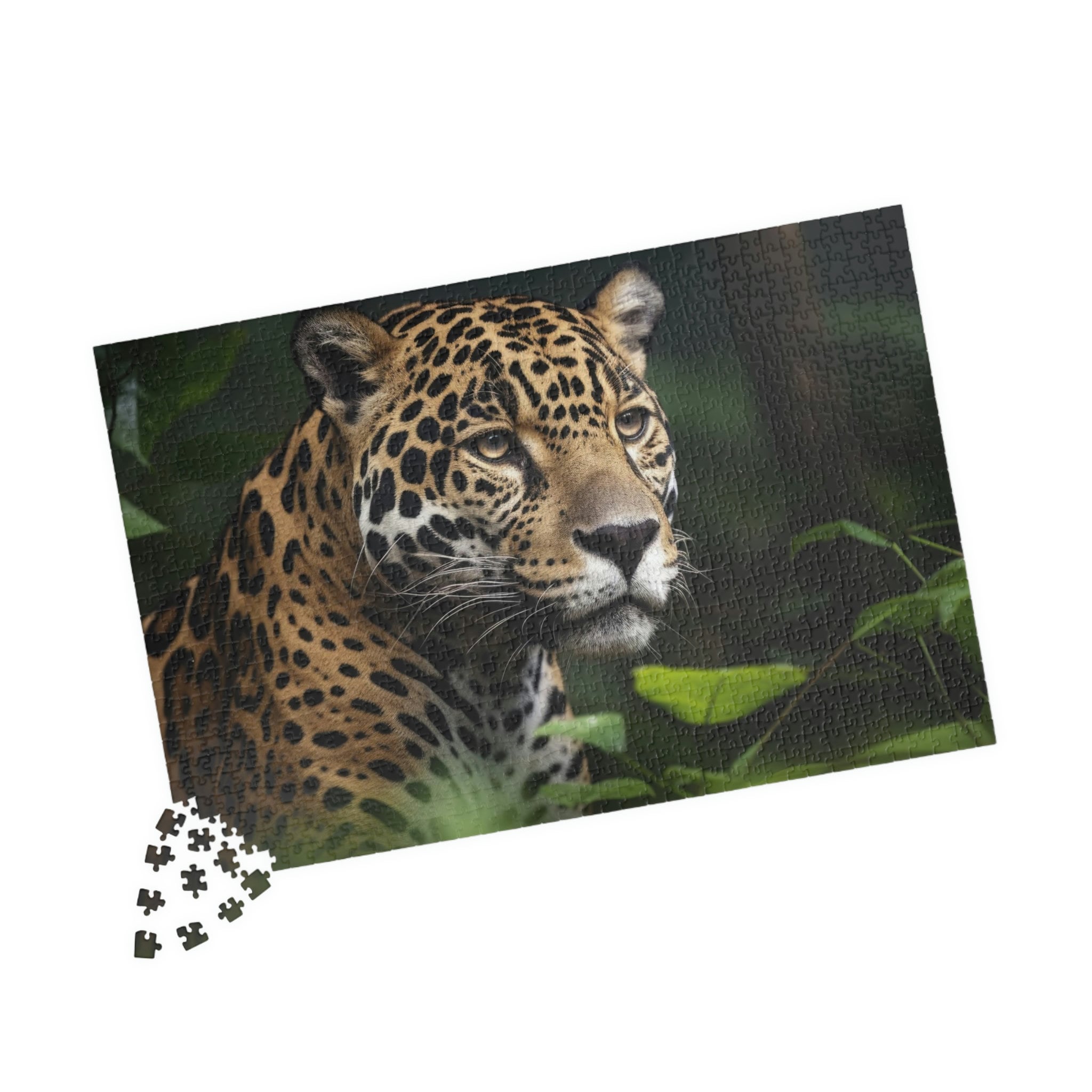 Jaguar Habitat Diorama