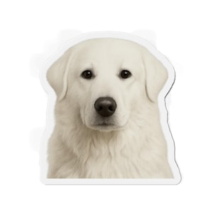 Imán troquelado Akbash, imán para nevera, imán de perro adorable, regalo para amantes de los animales, decoración para dueños de mascotas, decoración de cocina