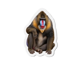 Mandrill Magnet - Primate Lover Gift - Fridge Magnet
