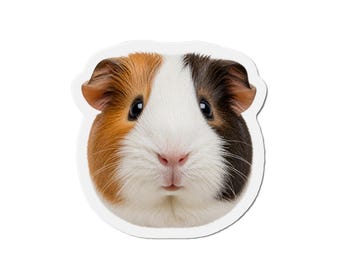 Guinea Pig Magnet - Guinea Pig Gift - Fridge Magnet