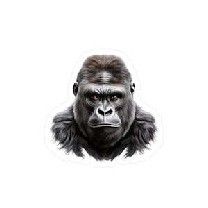May include: A close-up of a gorilla's face. The gorilla has dark brown fur and a serious expression. The background is white.
